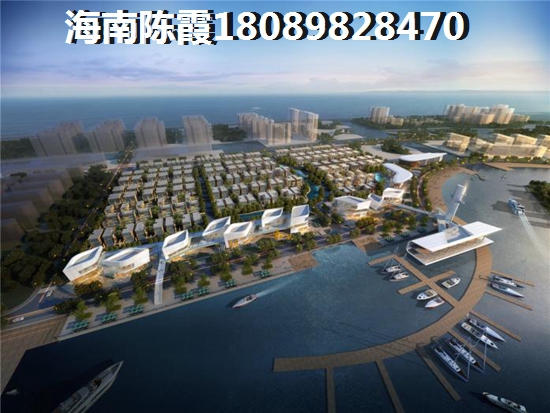 金石海岸的醉新價格是多少？